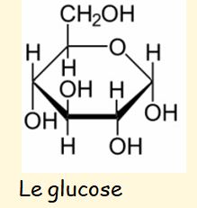 Glucose.JPG